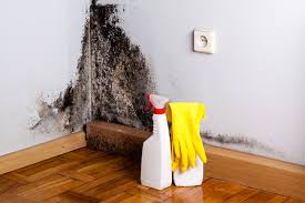 Best Dehumidification Services  in Country Knolls, NY